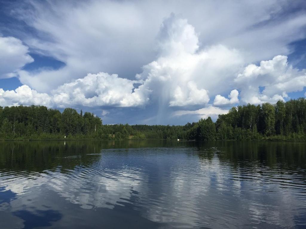 Talkeetna Lakeside Cabins Denali Zewnętrze zdjęcie