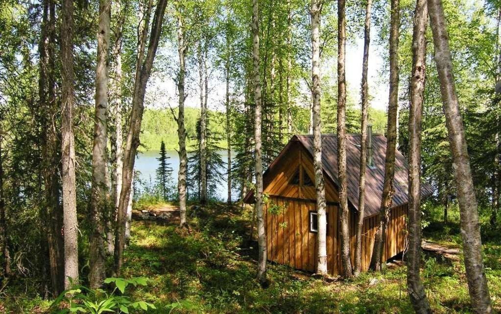 Talkeetna Lakeside Cabins Denali Zewnętrze zdjęcie