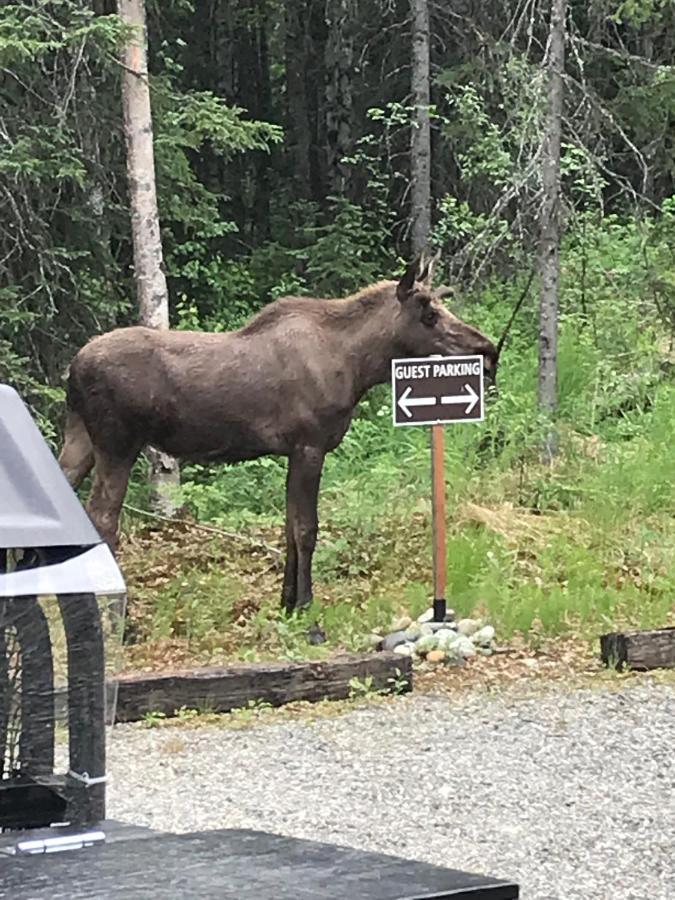 Talkeetna Lakeside Cabins Denali Zewnętrze zdjęcie